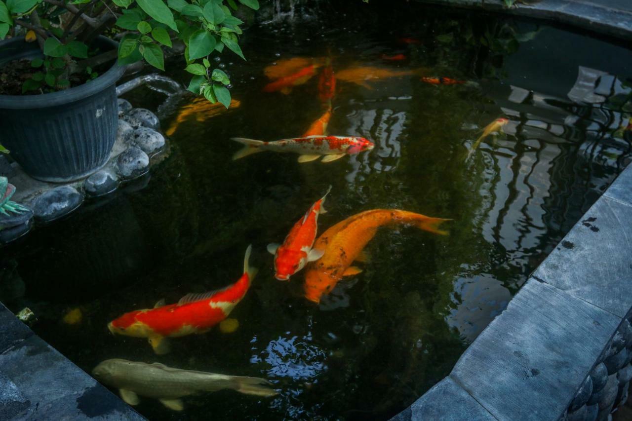 Sekar Waru Homestay Sanur Exterior foto